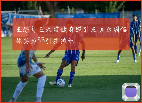 王彤与王大雷健身照引发吉尔调侃称其为SB引发热议
